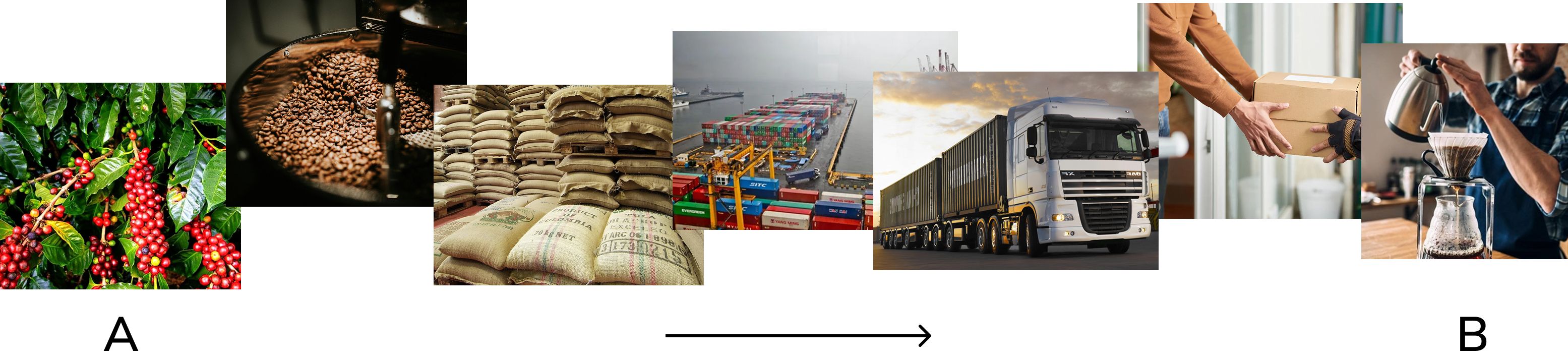 logistic_path.jpg